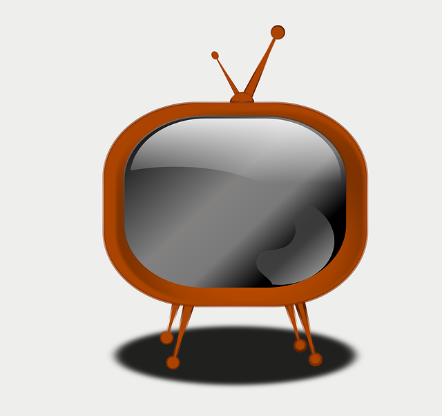 In der ORF-Sendung „konkret“ geht es um Nierenerkrankungen (c) pixabay